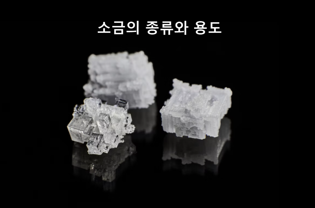 소금의 종류