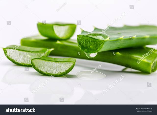 paquete de aloe vera